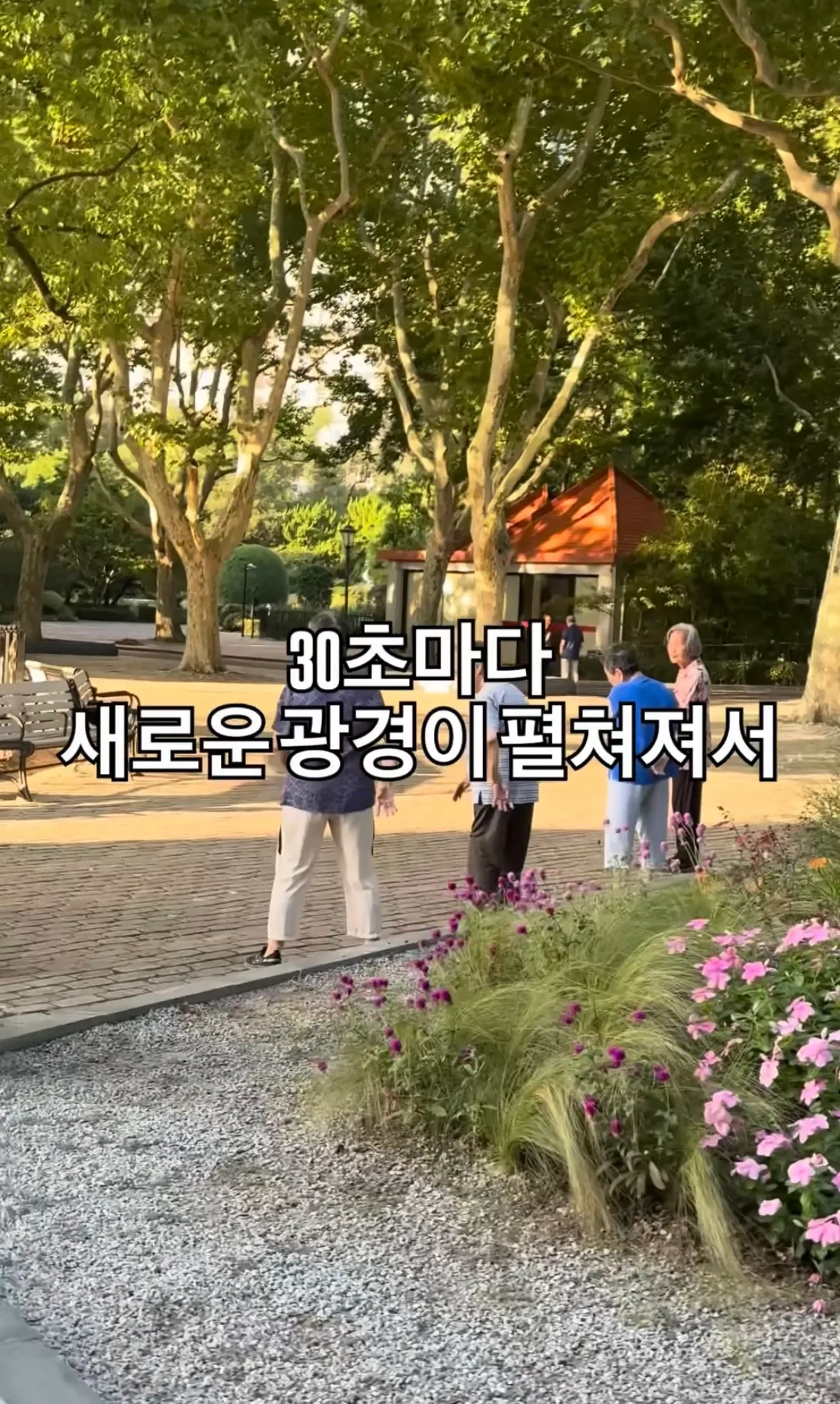 중국에서 런닝을 포기한 이유2