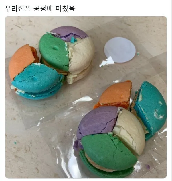 음식을 공평하게 먹어야하는집의 마카롱