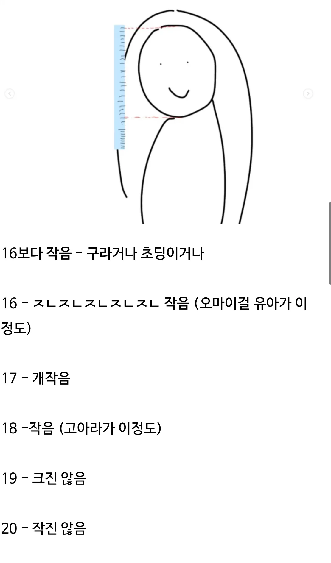머리크기