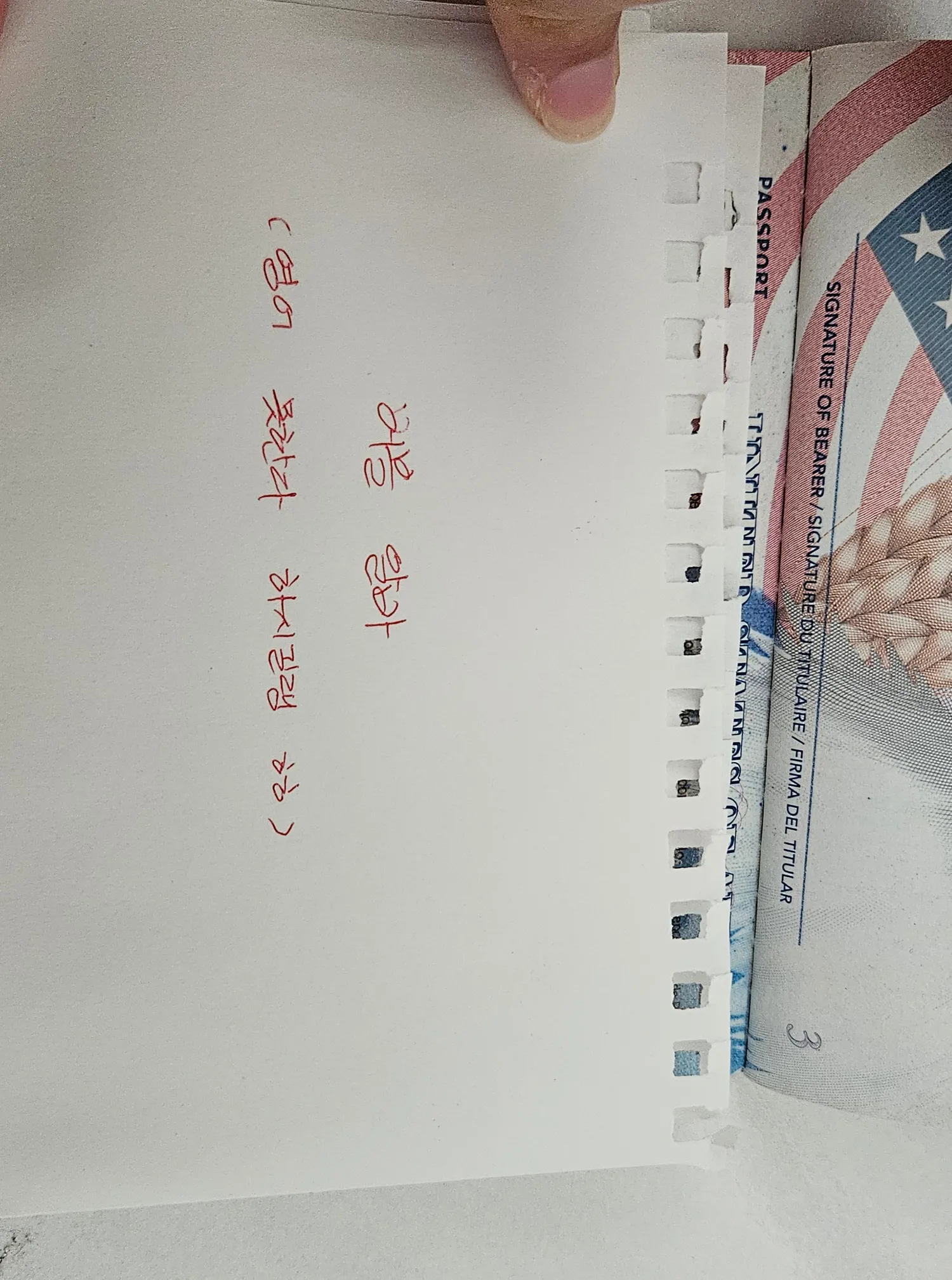 차 렌탈하고 한 무식이언냐 댓글