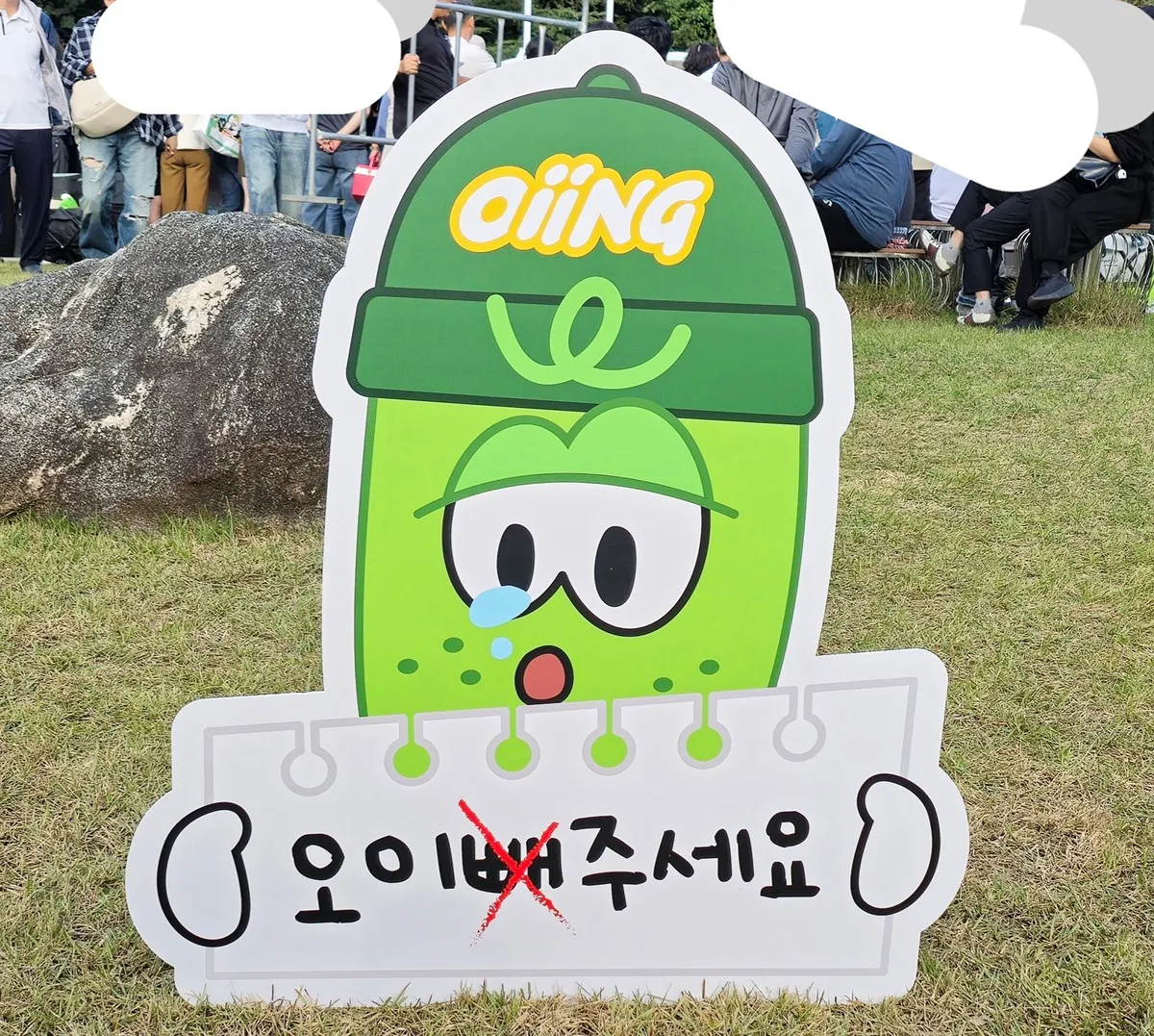 김천 김밥축제에서 배척받은 오이