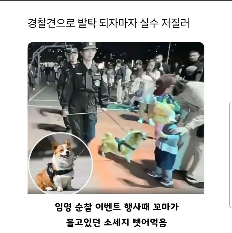 공무원 취직하자마자 사고침
