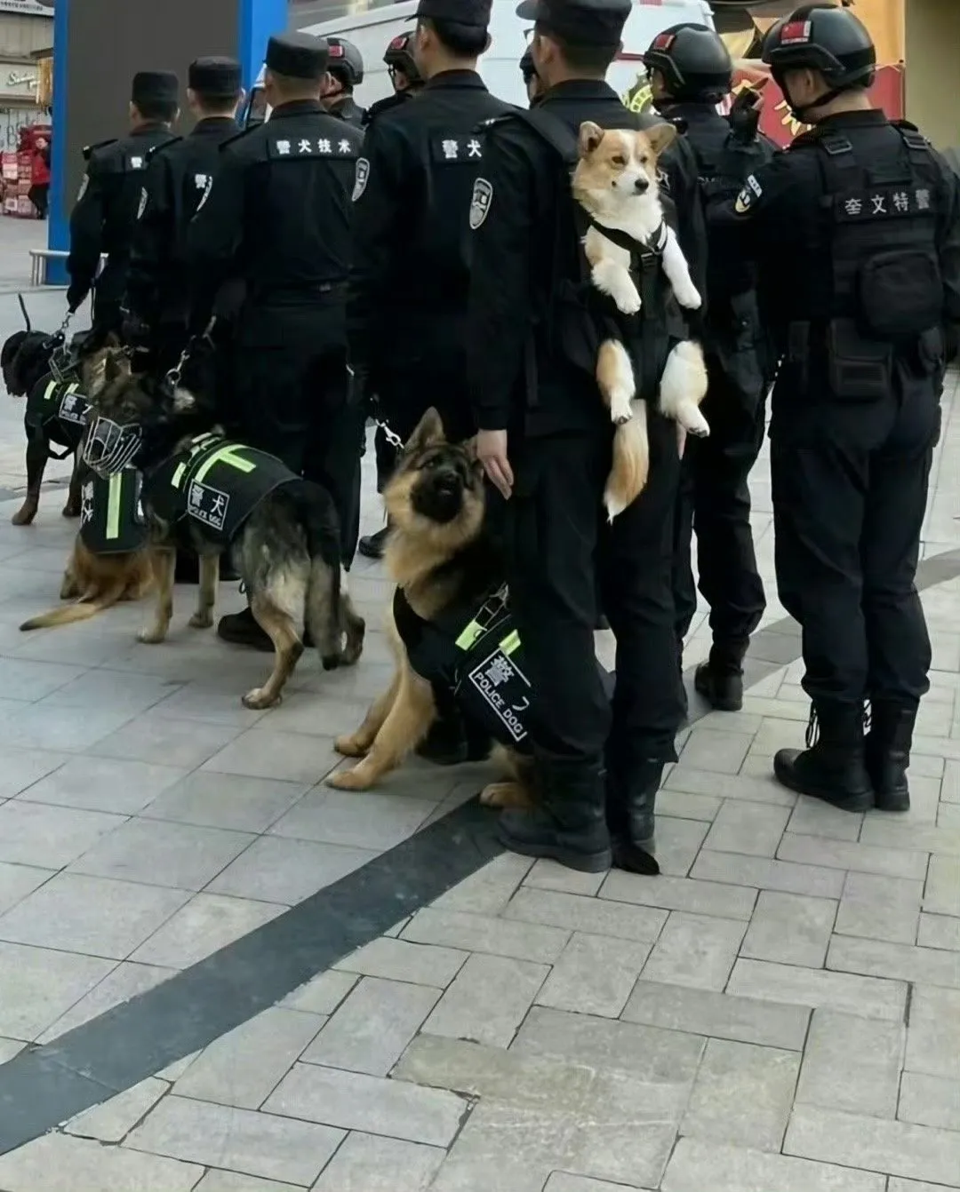 공무원 취직하자마자 사고침2