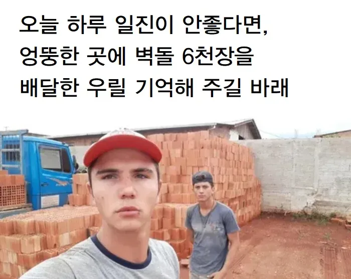 업진쓰는 내 댓글