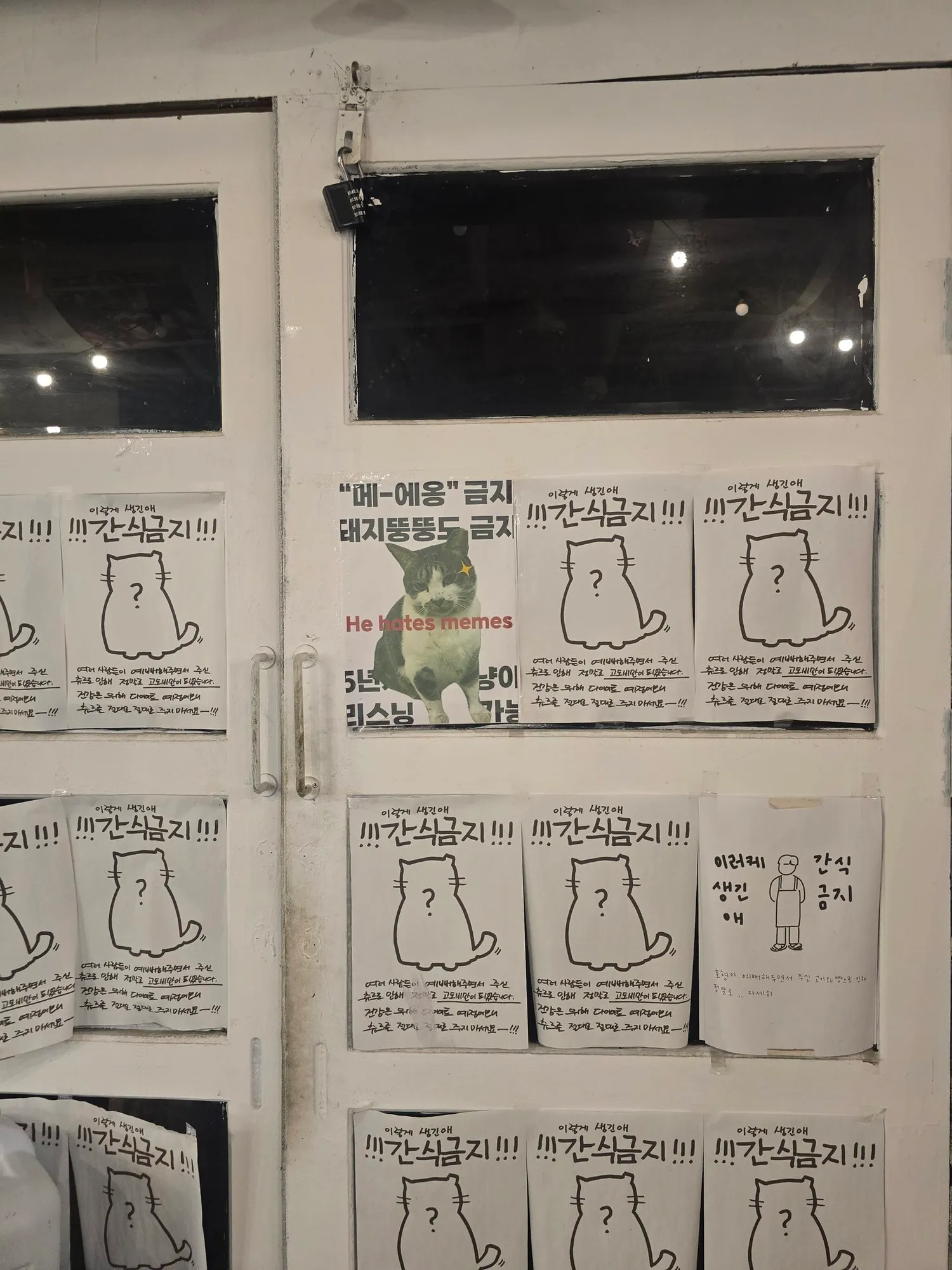 메--애옹 금지 돼지뚱뚱도 금지