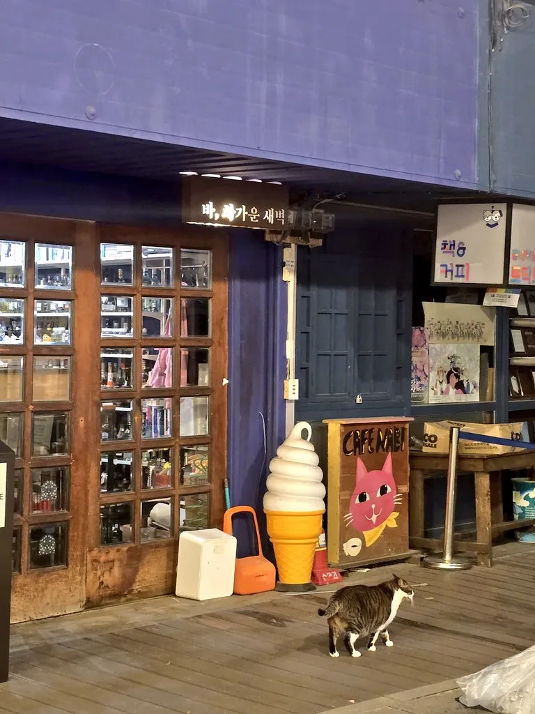 메--애옹 금지 돼지뚱뚱도 금지2