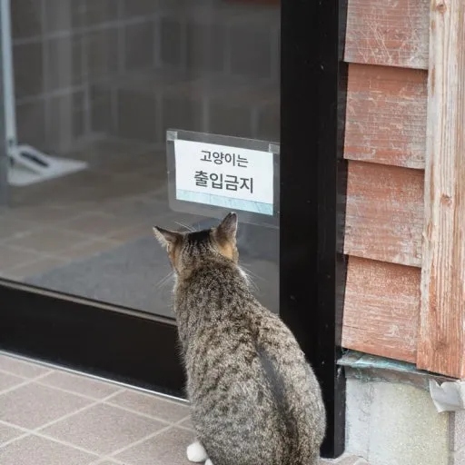 한글이 대단한 이유2