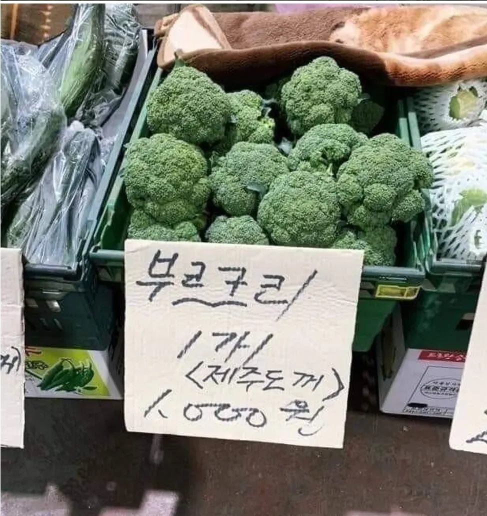 국산 브로커2