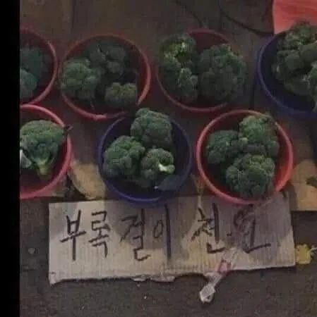 국산 브로커3