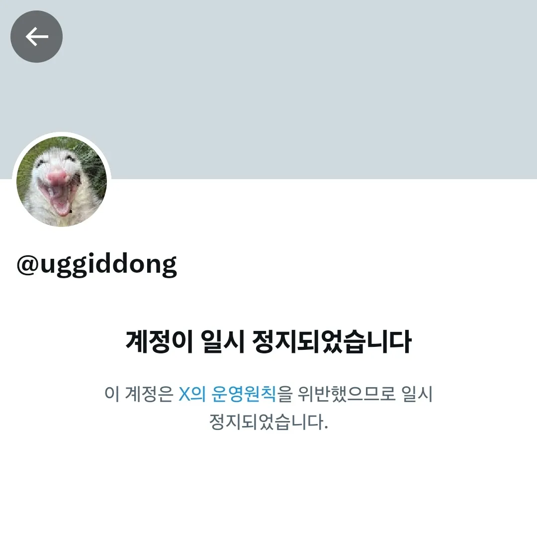 트위터 두컷만화2