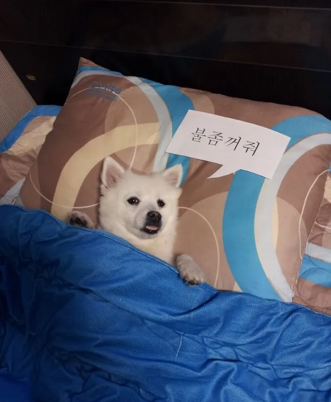 오늘도 힘낸 나를 위해