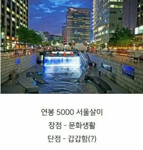 연봉 5000 서울살이 vs 연봉 7000 제주살이