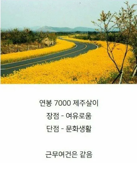 연봉 5000 서울살이 vs 연봉 7000 제주살이2