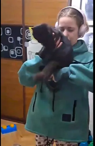 고양이 포대기 옷
