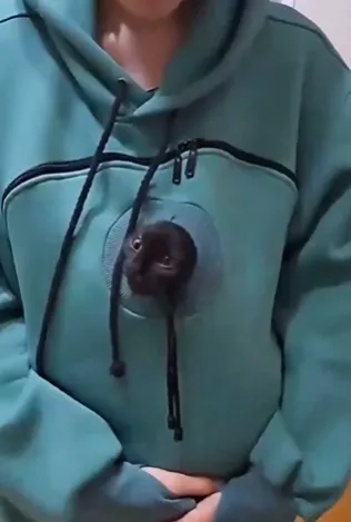 고양이 포대기 옷2