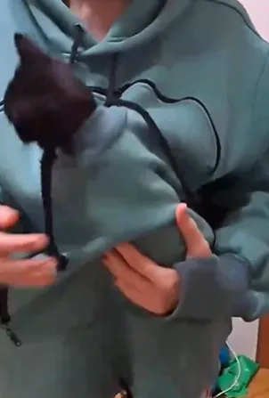 고양이 포대기 옷3