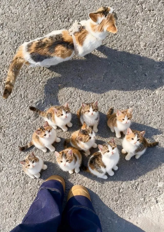 이런좋은 사진은