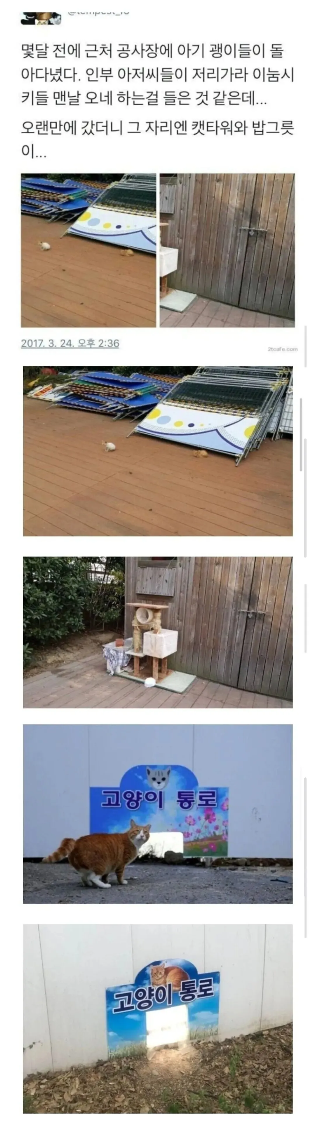 생각외로 냥이들 잘챙겨주는 