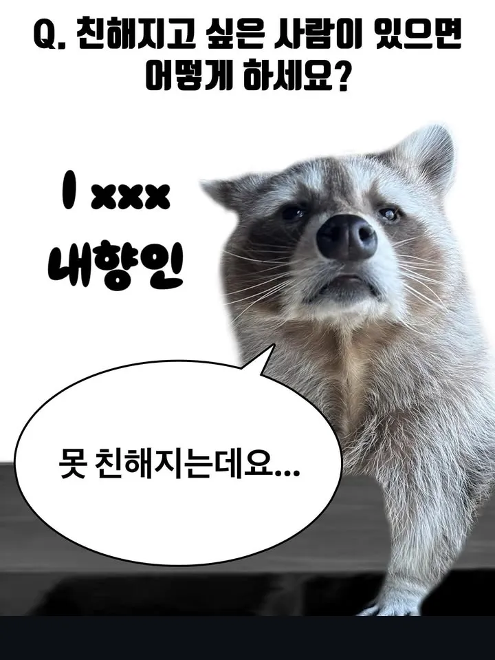 내향인이 친해지고싶은 사람 있을때 쓰는 방법2