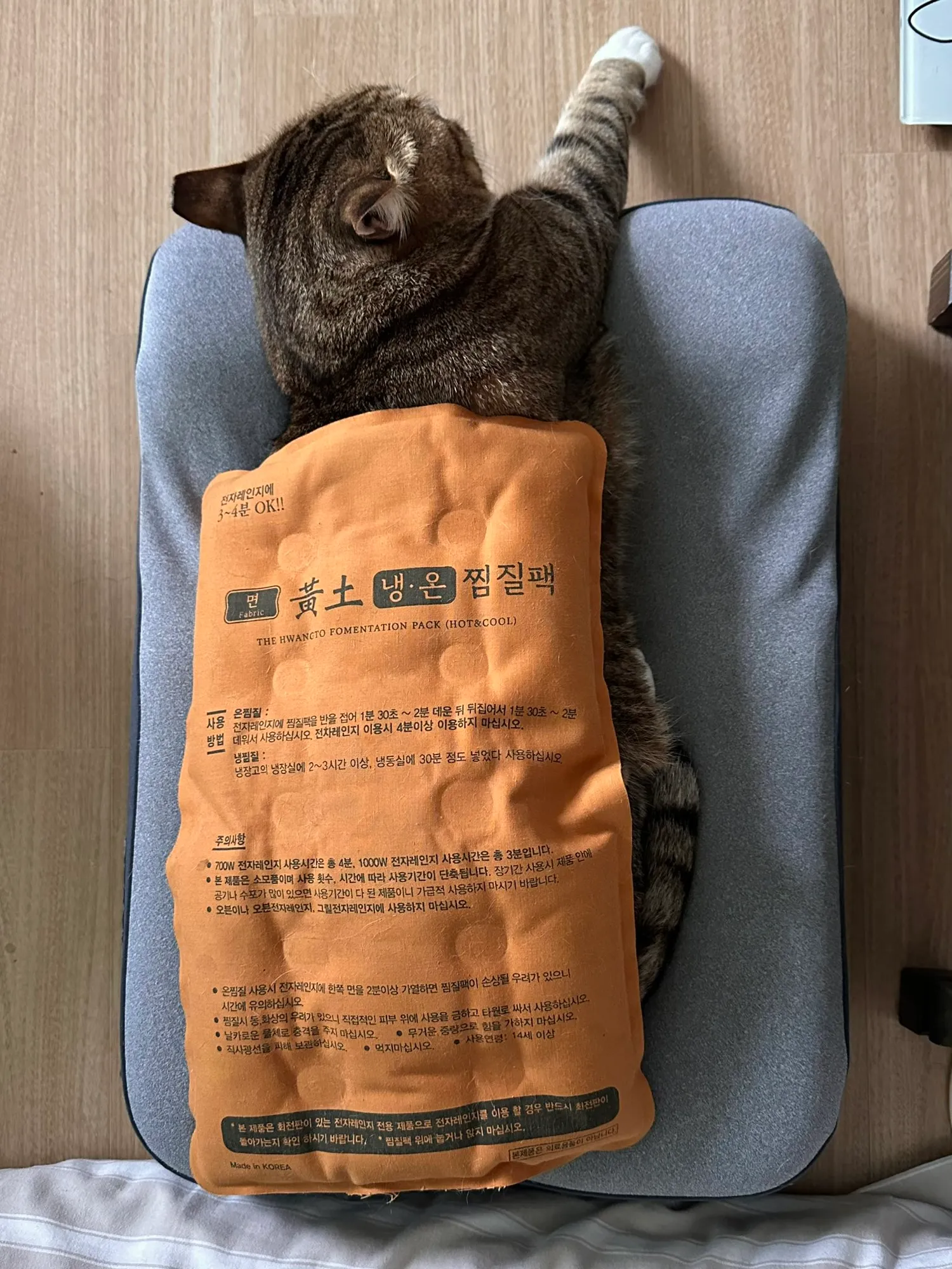 고양이도 좋아하는 