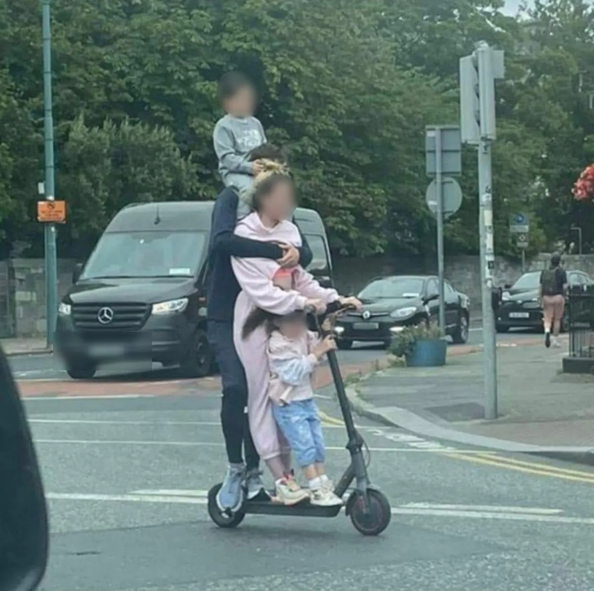 해외에서 화제 됐던 킥라니 사진