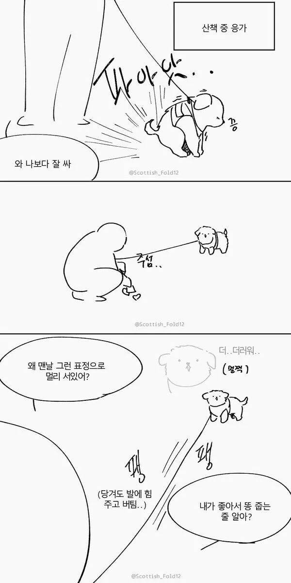 강쥐 산책중에