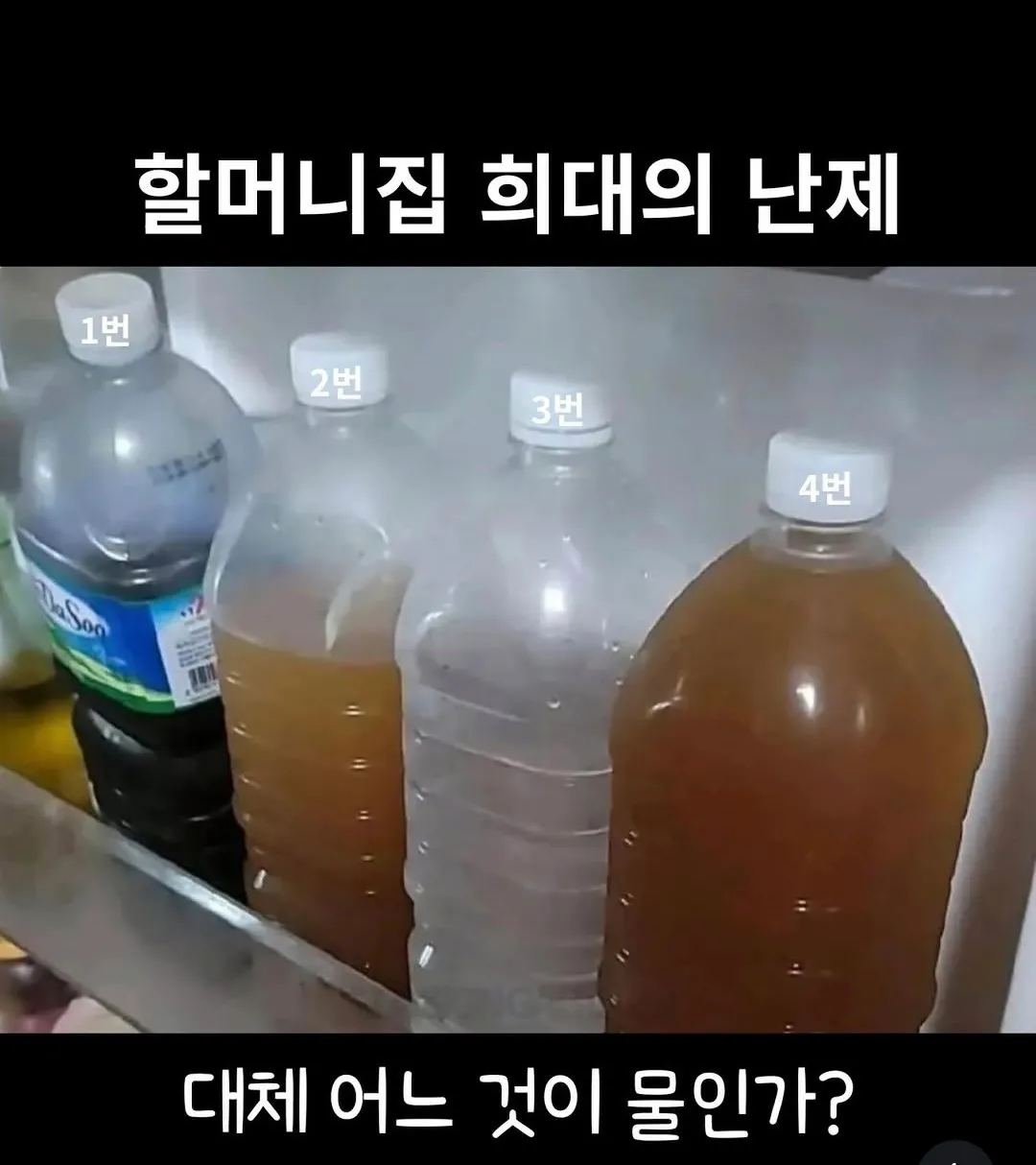 할머니집 희대의난제
