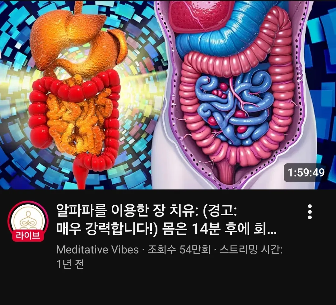 유튜브 알고리즘 머가 있나바여..