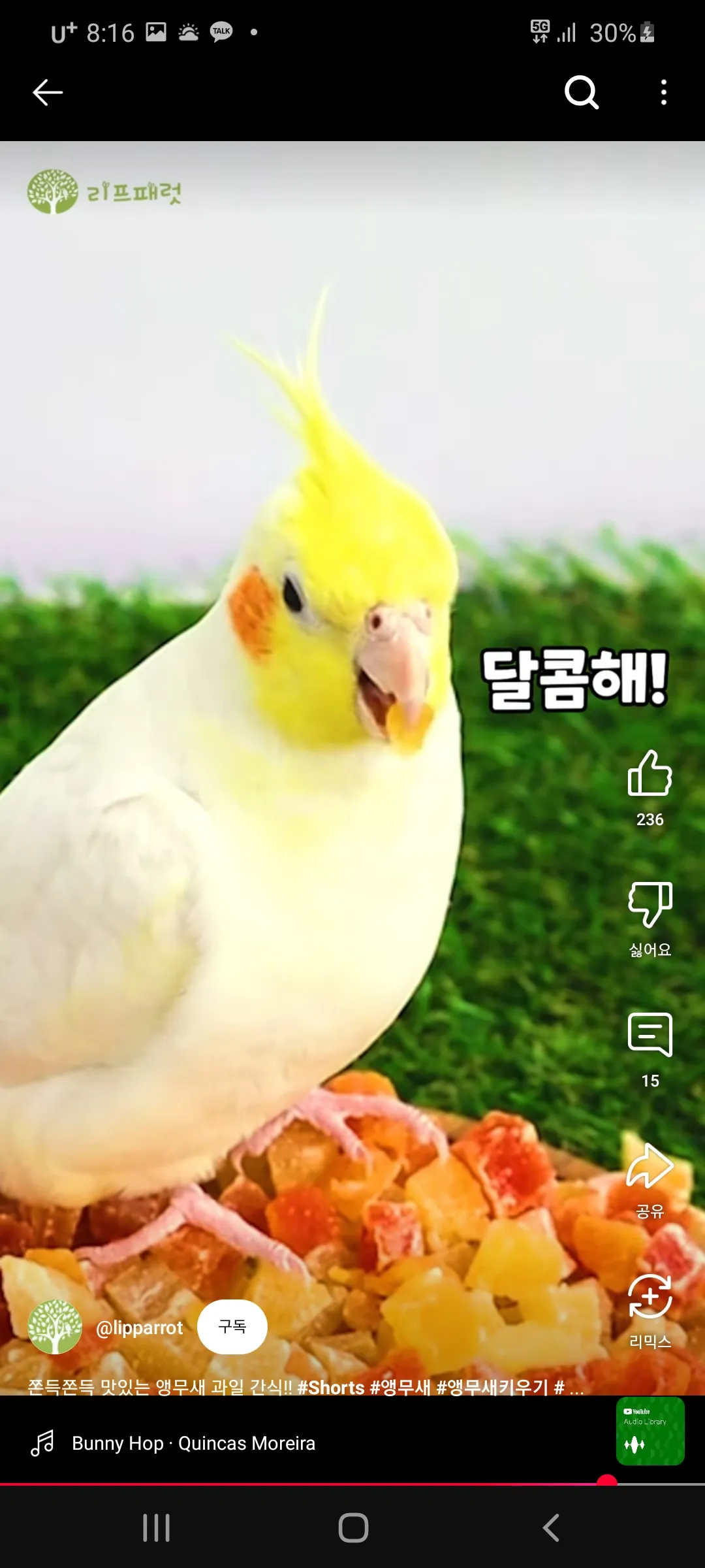 고달픈 길고양이들... 댓글