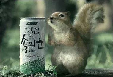 호불호 강한 음료2