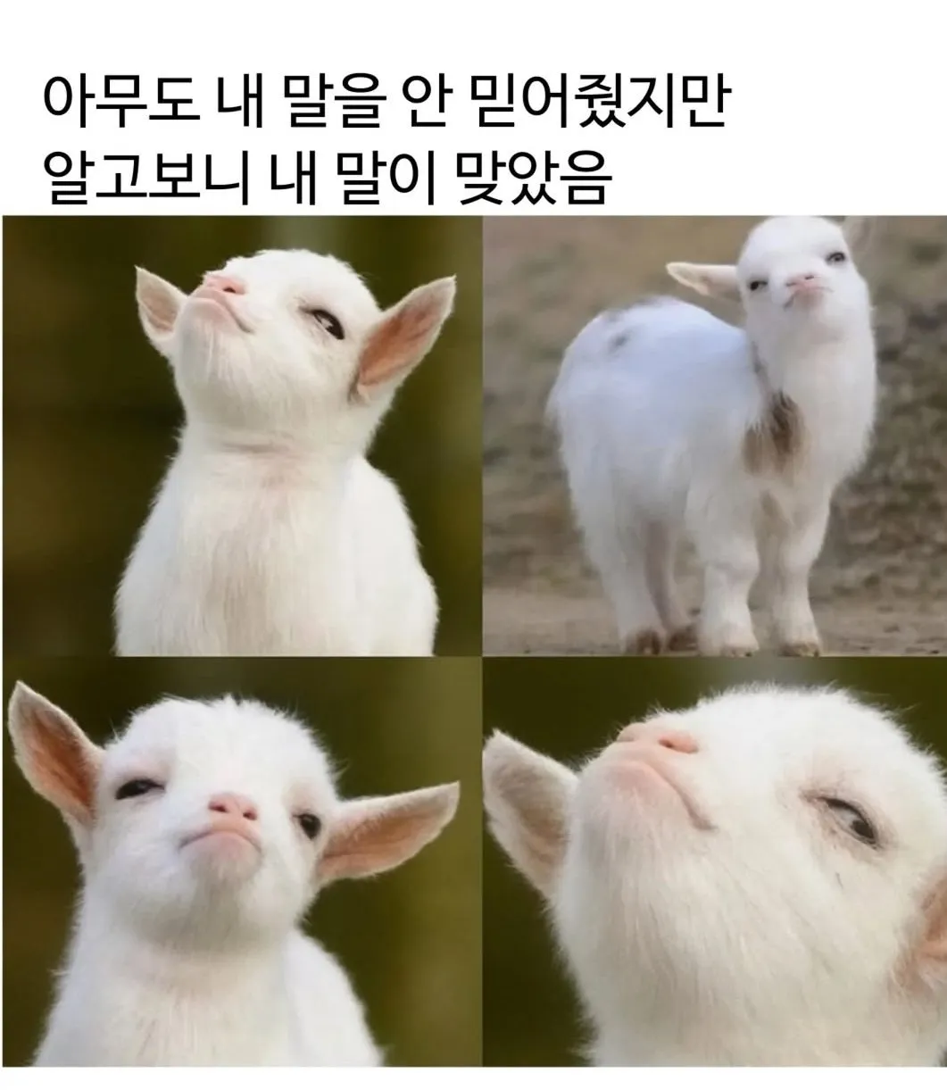 아무도 내 말을 안 믿어줬지만
