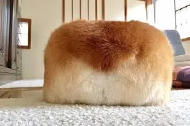 만지고 싶은 식빵사진