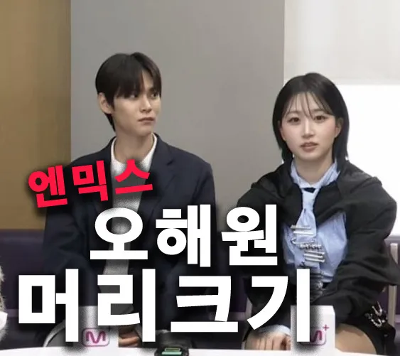 엔믹스 리더 해원 댓글 2