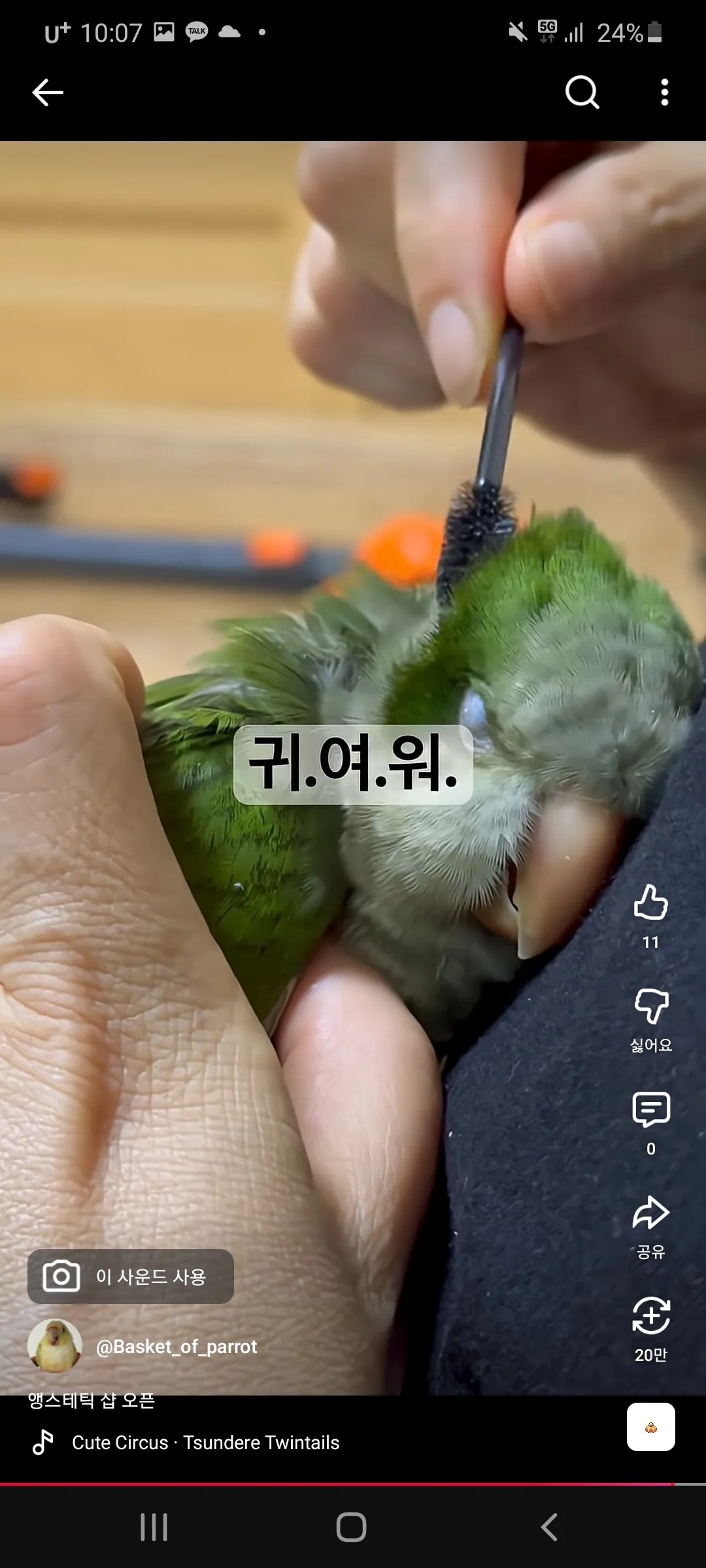 사람을 너무 좋아하는 호랑이 댓글 2