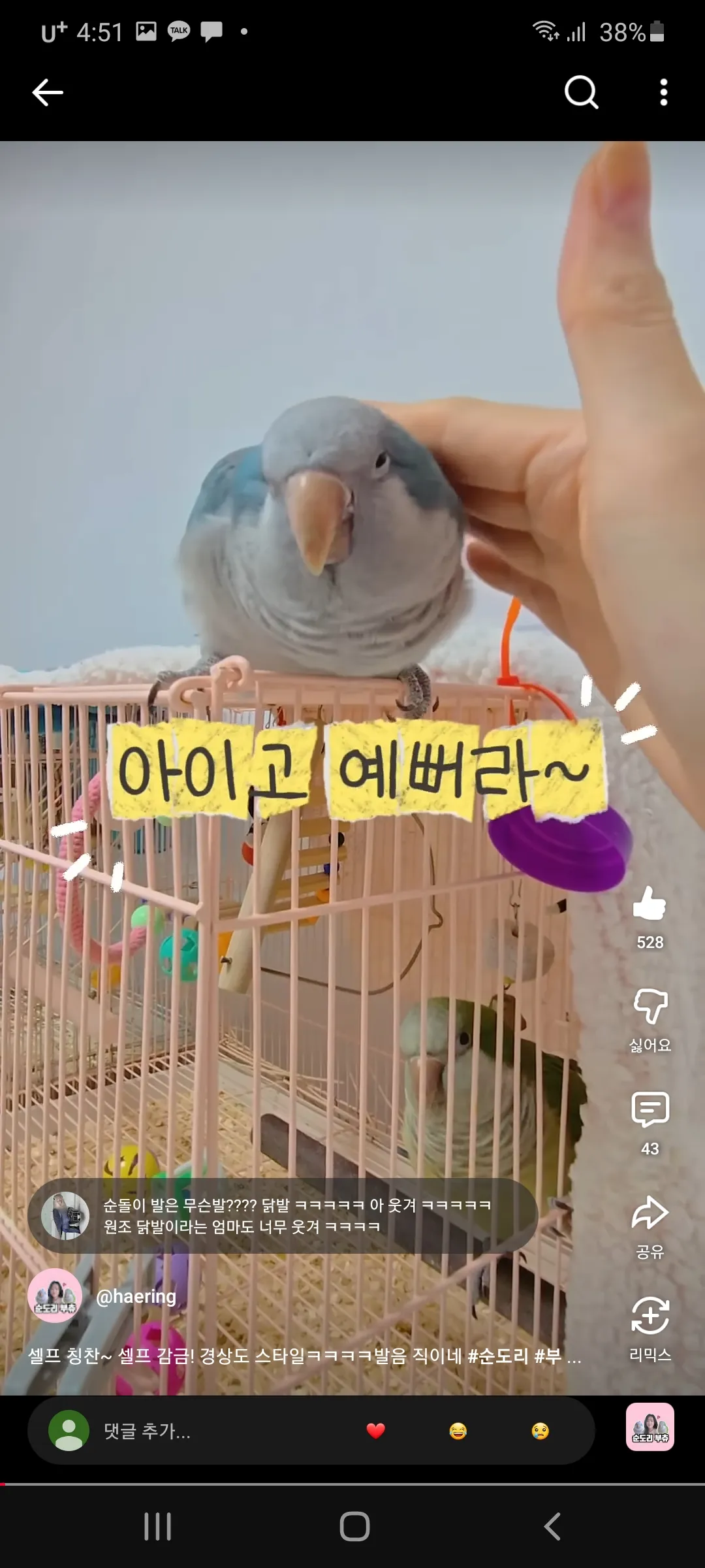 다이소가 말아주는 댕냥 집사 커플 김장조끼 댓글
