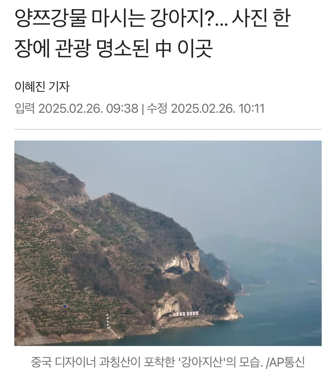 강아지 얼굴 닮은 바위2