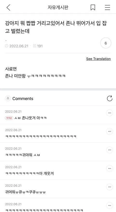 강아지 키울때