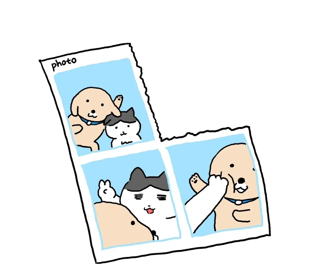  죄송한데 사진 한 장만 부탁드려도 될까요?4