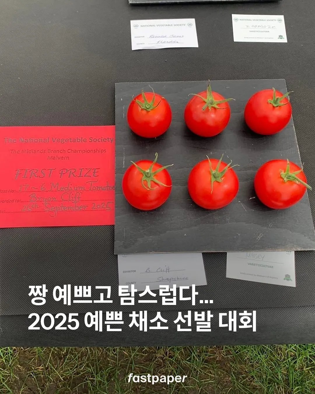 2025 예쁜 채소 선발 대회