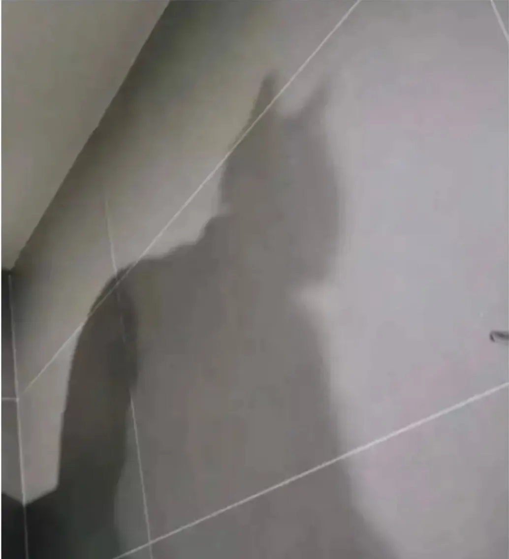 화장실에 나타난 실루엣