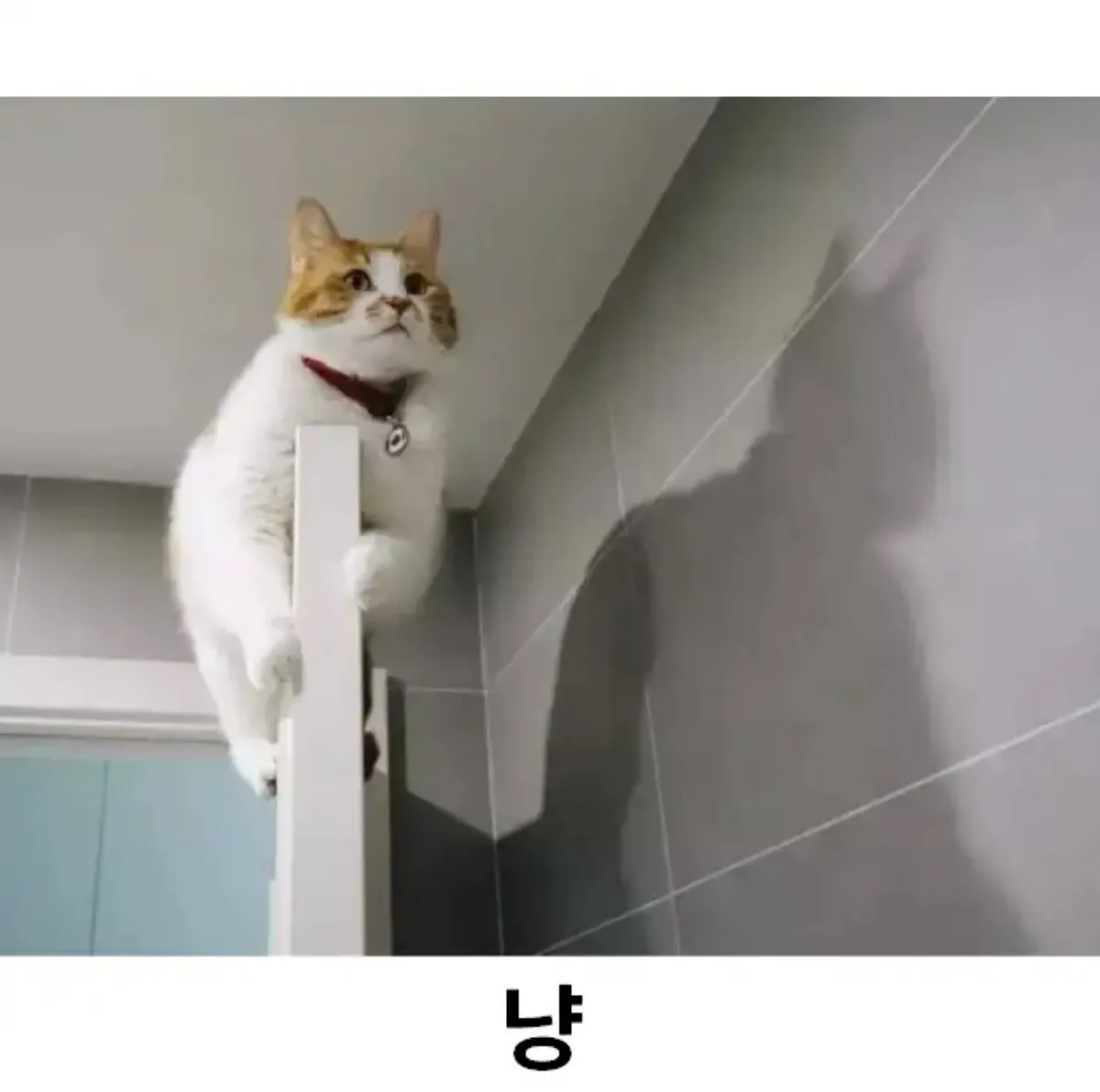 화장실에 나타난 실루엣2