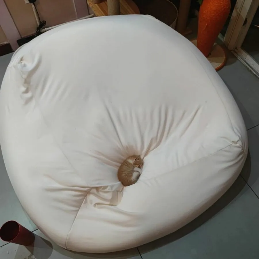 침대에 비해 너무작은2