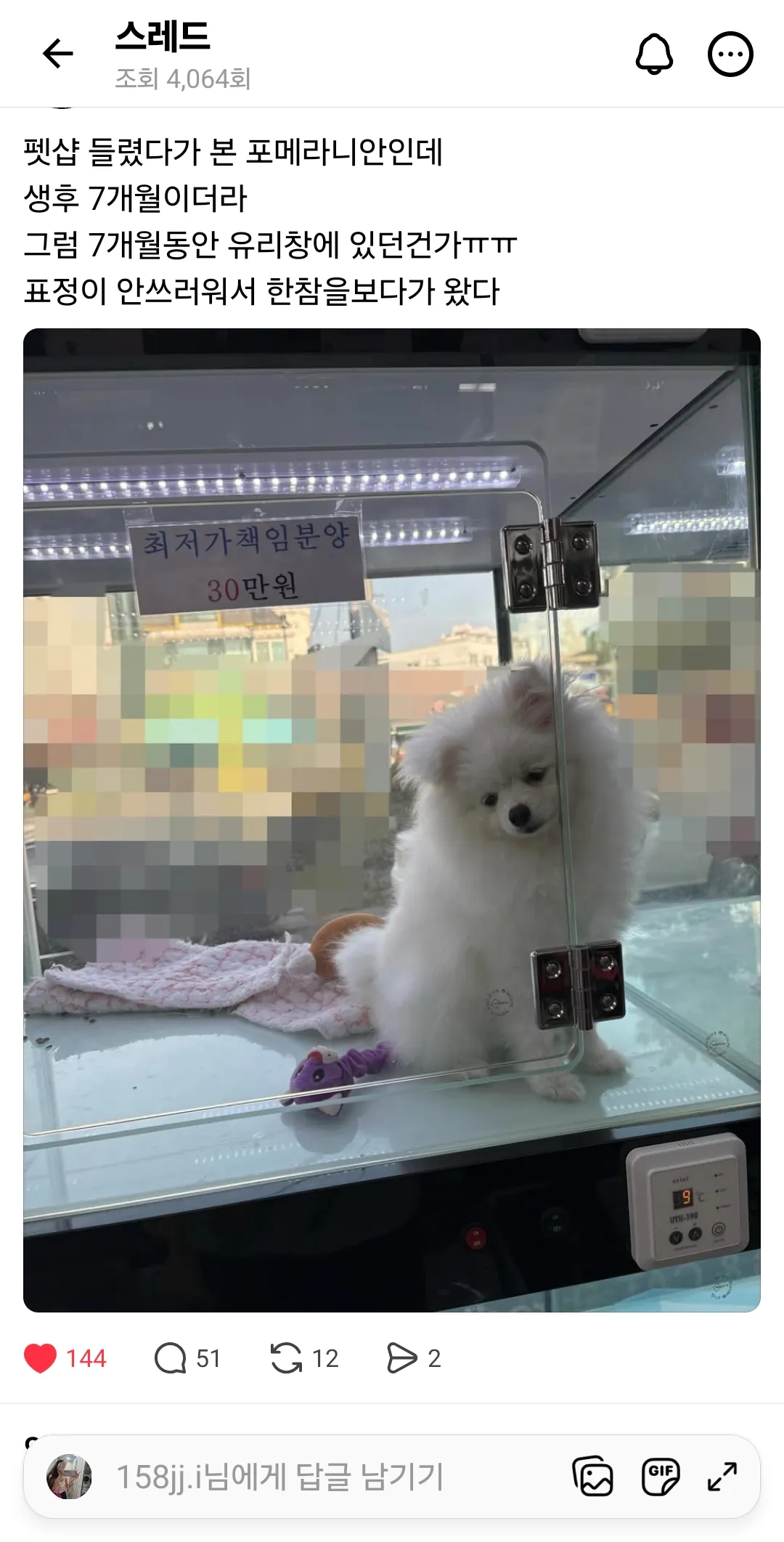 강아지도 초이스안되면 이리비참하네요