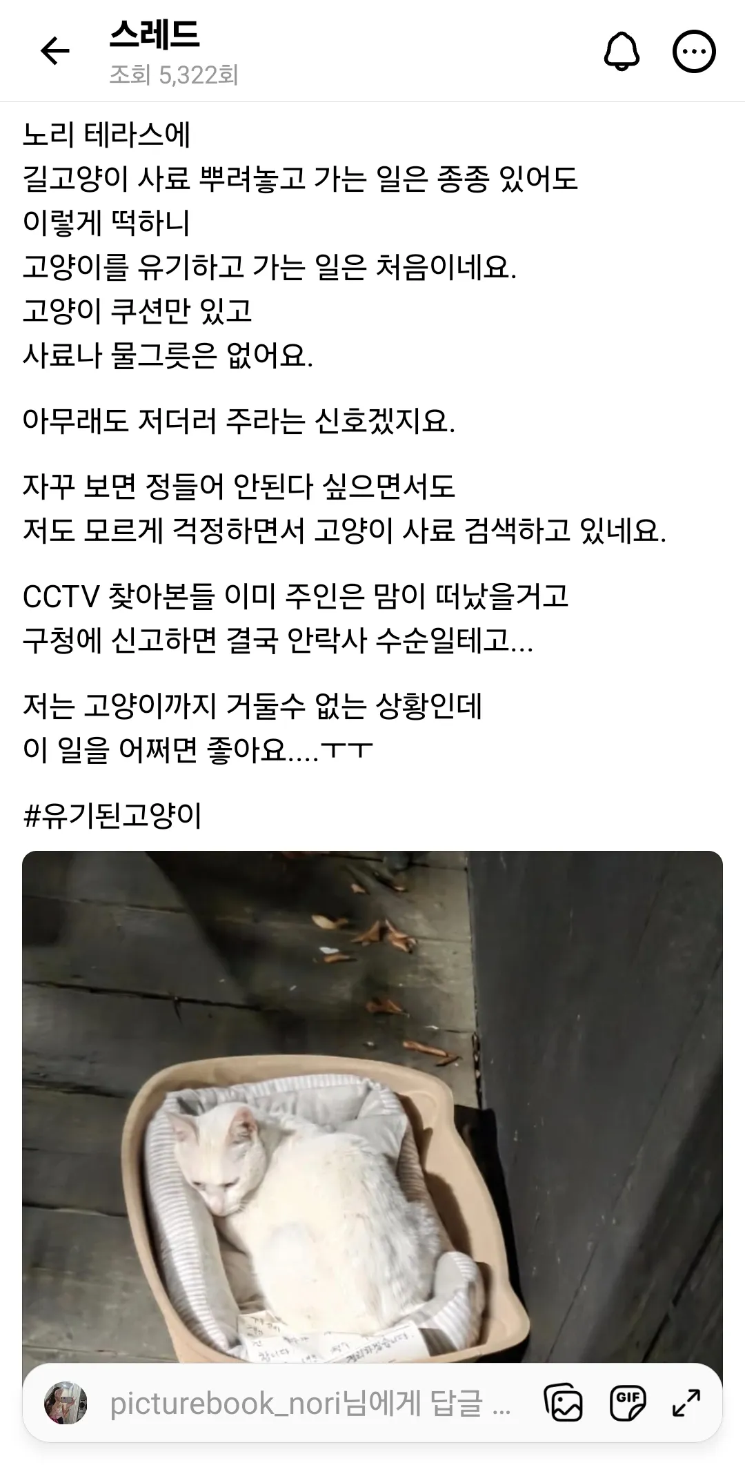고양이는 밖에 풀어놔도 잘사는거아니였어요???