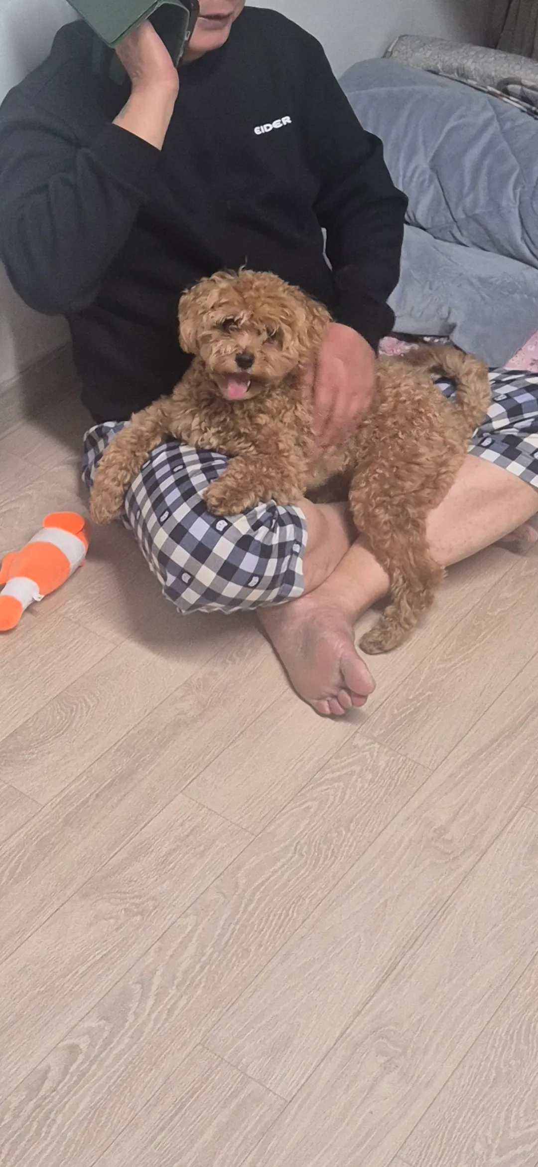 본가왔어용4개월만에2