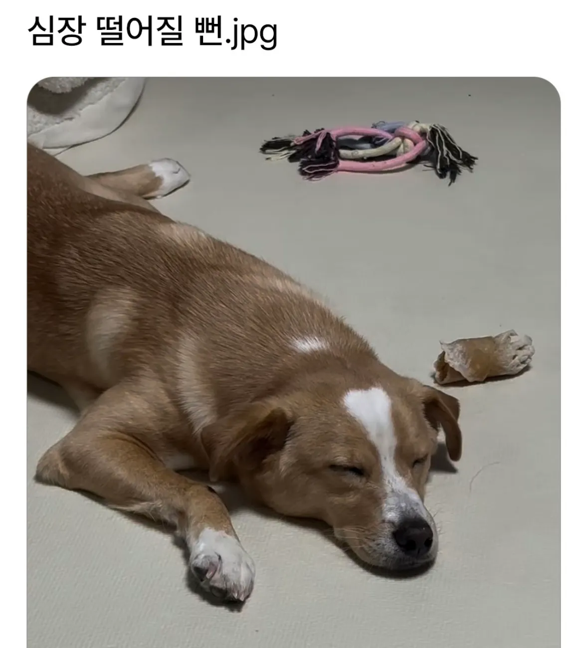 깜짝놀랐네