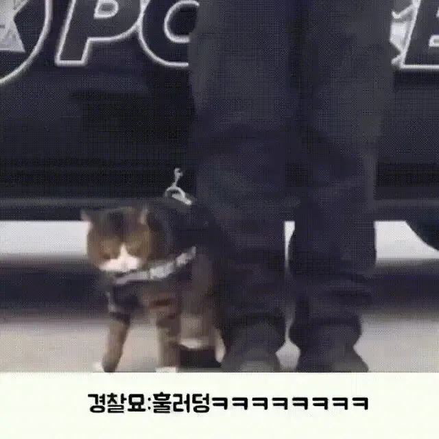 경찰묘가 없는이유