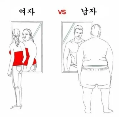 호돌이주제에 소추라니 댓글
