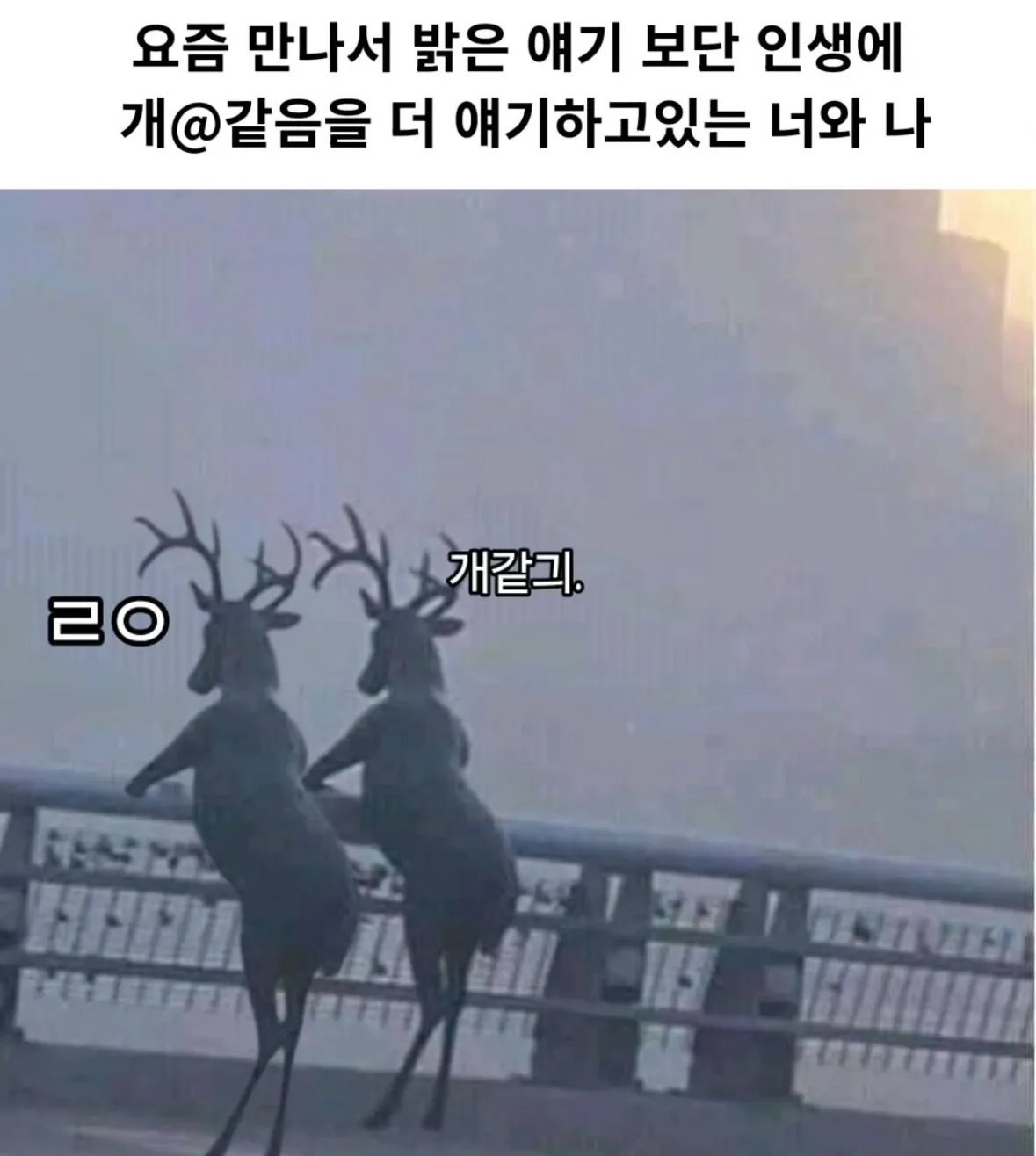 ㅈ같은 술방 들가고 방언니랑