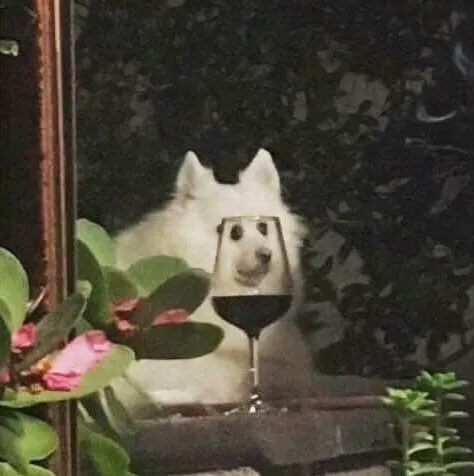잔속에 비친